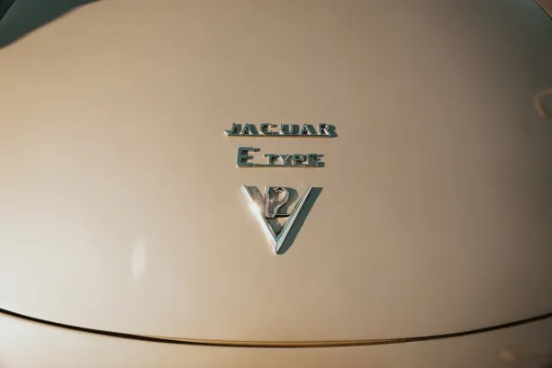 Untold Casino App Android/iOS